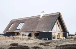 New Mags Nordic Homes